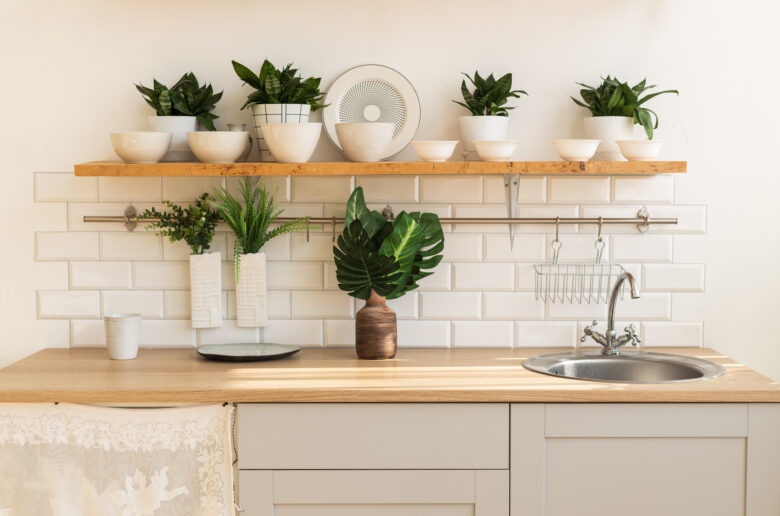 10 saksijskih biljaka koje možete držati u kuhinji