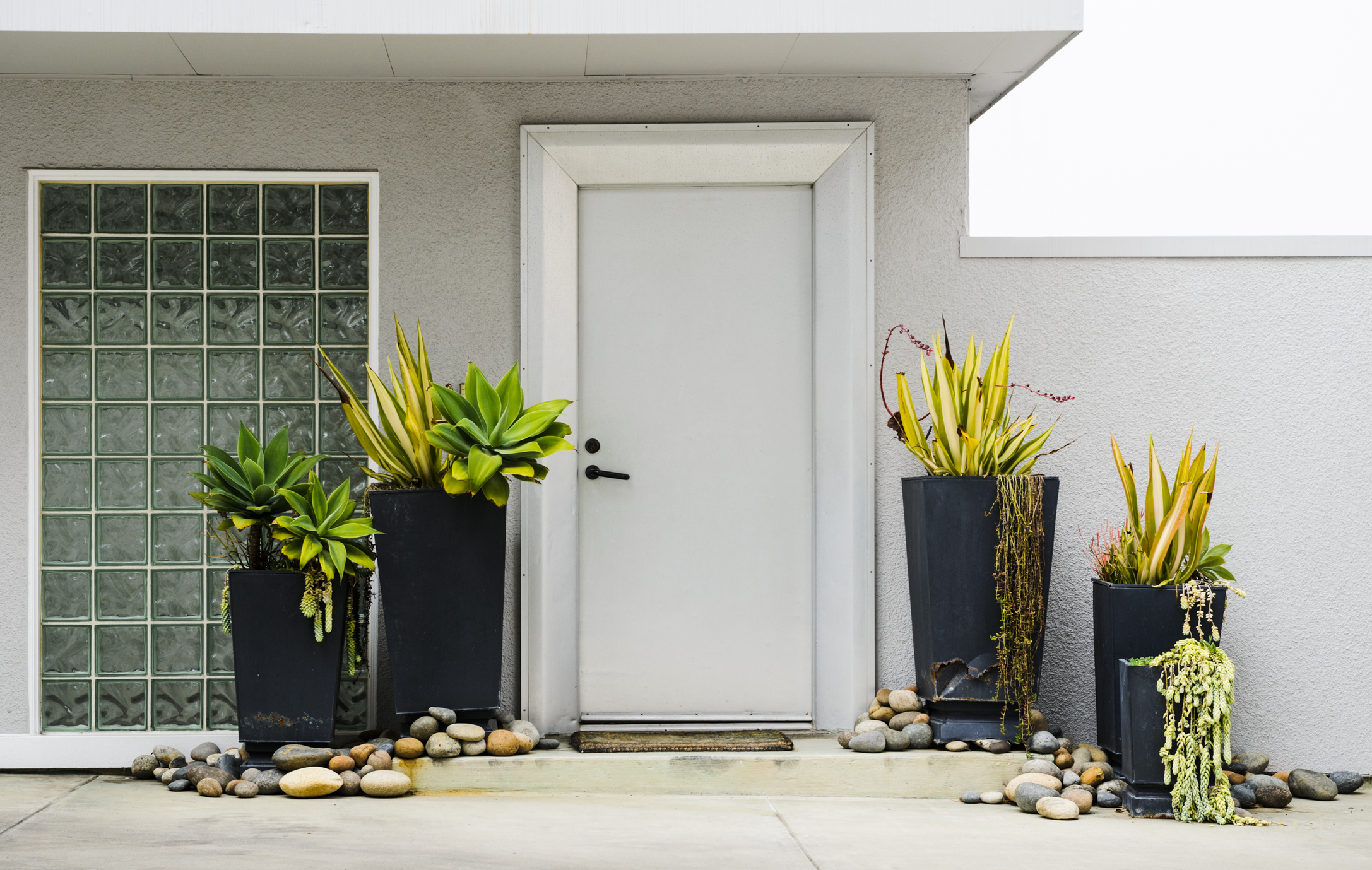 10 načina da ukrasite ulazna vrata biljkama