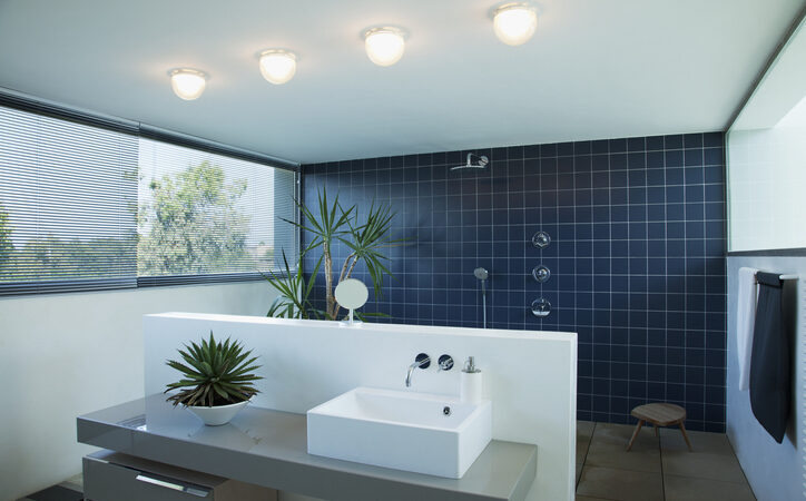 Nesvakidašnji dizajn kupatila: Da li biste poželeli ovakvo kupatilo u svom domu?