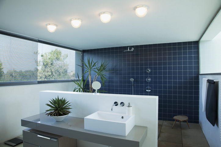 Nesvakidašnji dizajn kupatila: Da li biste poželeli ovakvo kupatilo u svom domu?
