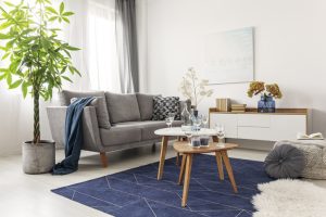 Kako očuvati čistoću i lep izgled tepiha: 5 pravila