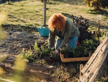 Šta raditi u bašti u martu: Rezidba, setva, sadnja