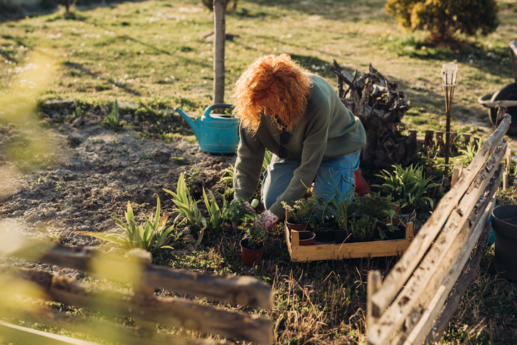 Šta raditi u bašti u martu: Rezidba, setva, sadnja