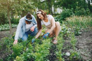 Kako visoke temperature u aprilu utiču na biljke: Saveti za zaštitu bašte