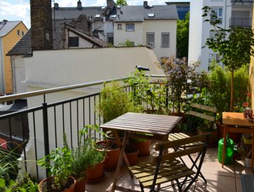 Biljke koje dobro podnose visoke temperature idealne za balkon