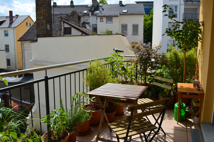 Biljke koje dobro podnose visoke temperature idealne za balkon