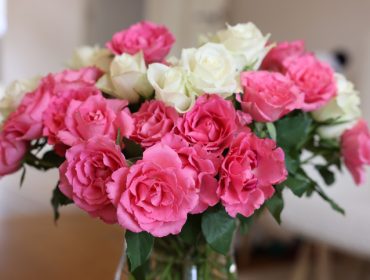 Kako da vam rascvetane ruže traju još nedelju dana: Potreban je samo jedan trik