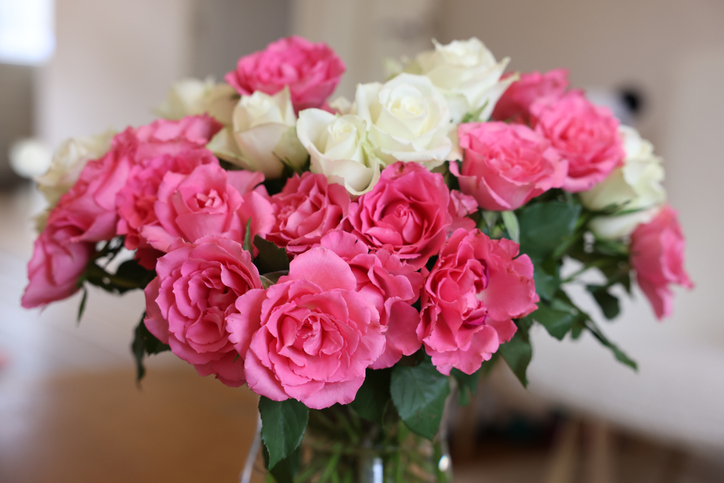 Kako da vam rascvetane ruže traju još nedelju dana: Potreban je samo jedan trik