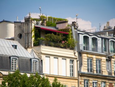 Pre i posle: U Parizu krovna terasa pretvorena u pejzažni vrt