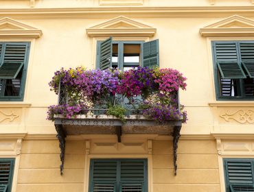 Viseće cvetnice koje će ulepšati vaš balkon